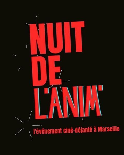 Nuit de l'Anim'
