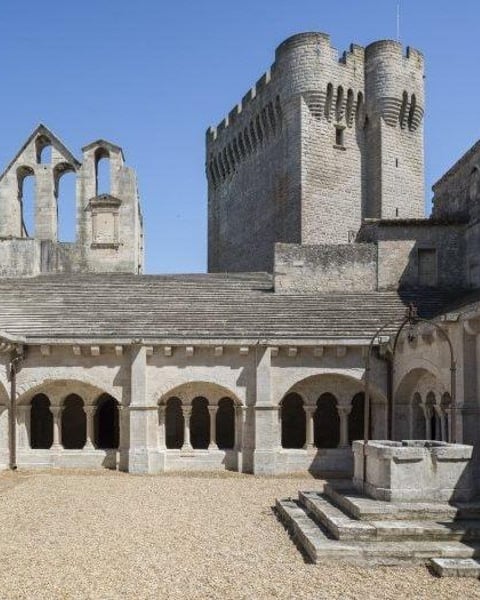 Abbaye De Montmajour