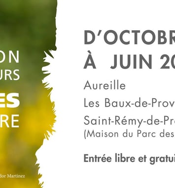 Exposition Hors Les Murs : Les Alpilles Par Nature