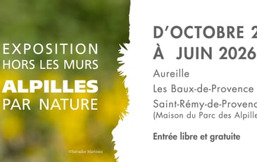 Exposition Hors Les Murs : Les Alpilles Par Nature