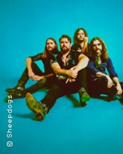 The Sheepdogs