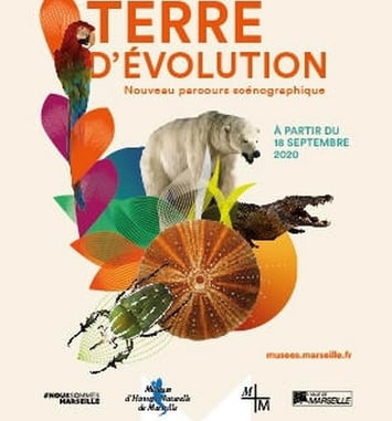 Collection permanente du Muséum d'Histoire Naturelle