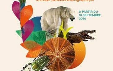Collection permanente du Muséum d'Histoire Naturelle