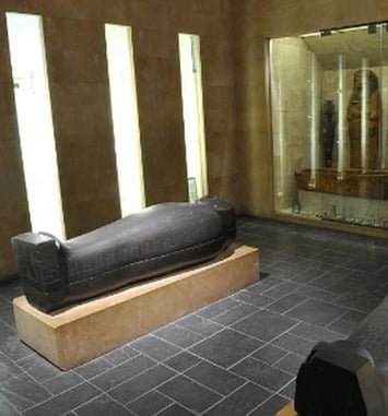 Collections permanentes du Musée d'Archéologie Méditerrannéenne