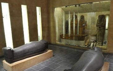 Collections permanentes du Musée d'Archéologie Méditerrannéenne