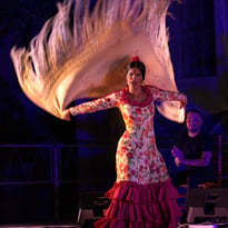 Festival Flamenca