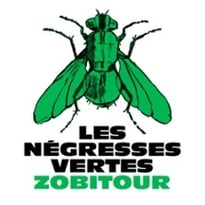 Les Négresses Vertes