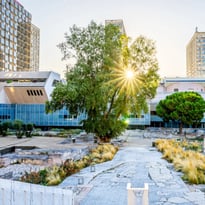 Délos et ses pierres : la fabrique d'une ville antique