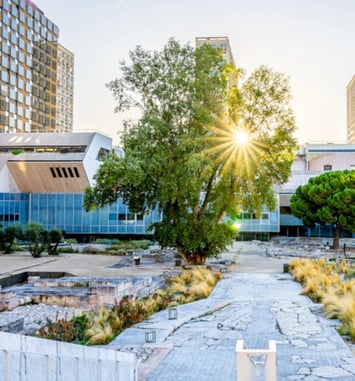 Délos et ses pierres : la fabrique d'une ville antique