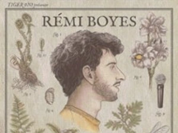 Rémi Boyes, Bombus Terrestris