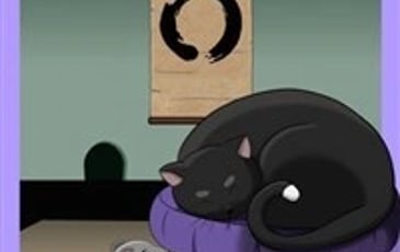 Le chat zen