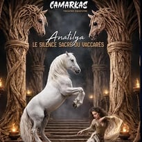 Anatilya, le Silence Sacré du Vaccarès