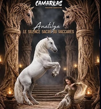 Anatilya, le Silence Sacré du Vaccarès