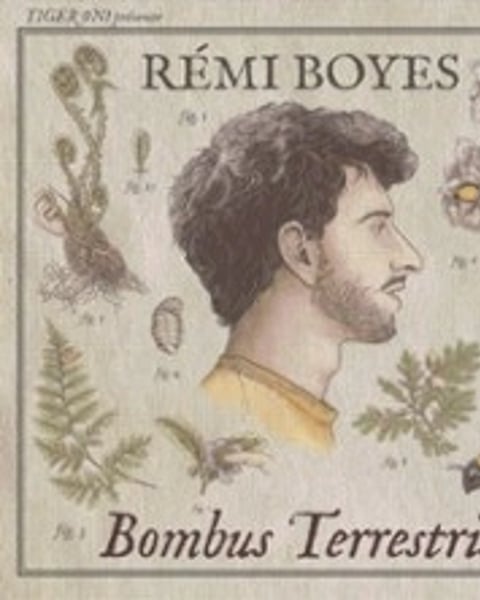 Rémi Boyes, Bombus terrestris