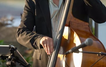 Basilic Swing, Chansons françaises revisitées façon manouche