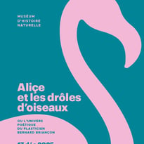Aliçe et les drôles d'oiseaux