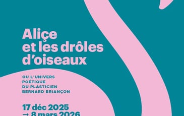 Aliçe et les drôles d'oiseaux