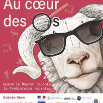 Au Cœur des Os, Quand le Mouton Raconte la Préhistoire Récente