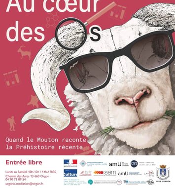Au Cœur des Os, Quand le Mouton Raconte la Préhistoire Récente