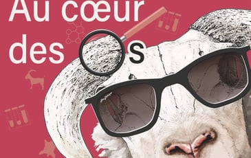 Au Cœur des Os, Quand le Mouton Raconte la Préhistoire Récente