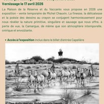 Camargue Sauvage
