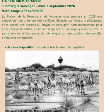 Camargue Sauvage