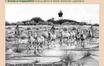 Camargue Sauvage