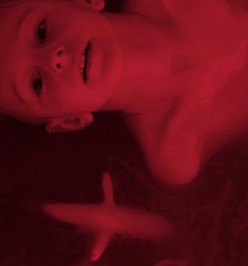 In the Veins