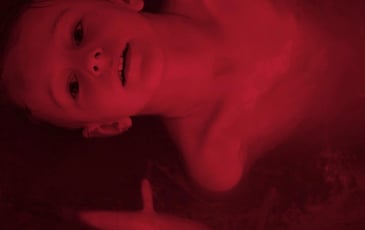 In the Veins