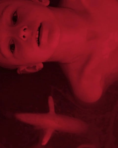 In the Veins