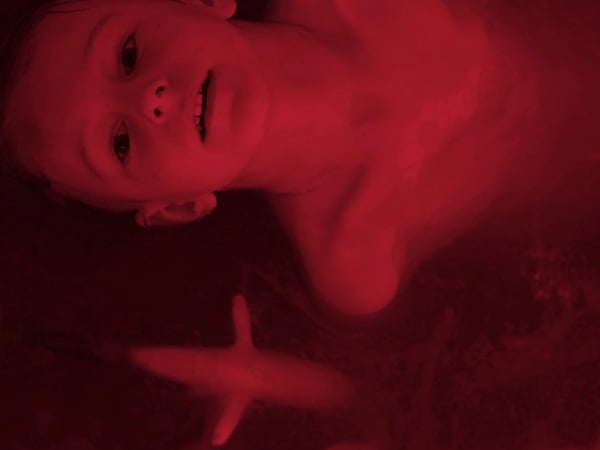 In the Veins