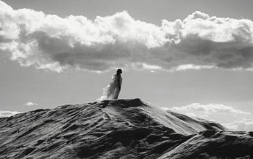 In Search of… Incredible