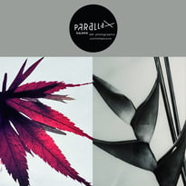 Essentia