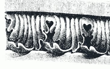 Half Rest