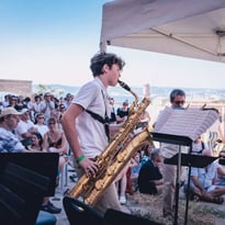 Concerts klezmer, musique traditionnelle et électronique à la Citadelle