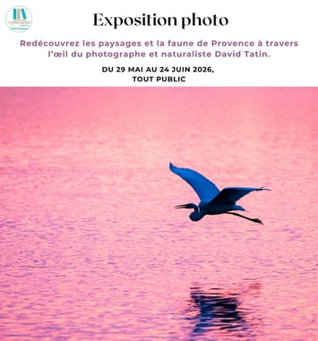 Exposition Photo