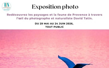 Exposition Photo