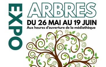 Autour des Arbres
