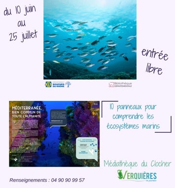 Méditerranée, Bien Commun de Toute l'Humanité