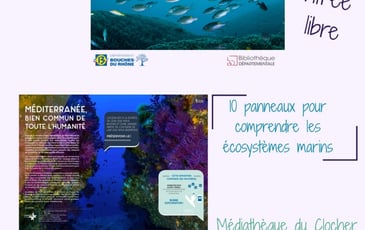 Méditerranée, Bien Commun de Toute l'Humanité