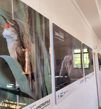 Biodiversité : Regards croisés sur la faune et la flore locale