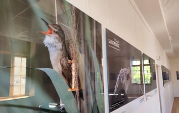 Biodiversité : Regards croisés sur la faune et la flore locale