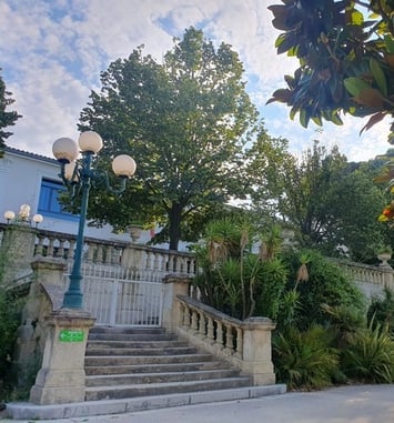 Visites "flash" de Maison Blanche