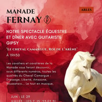 Le Cheval Camargue Roi de l'Arène