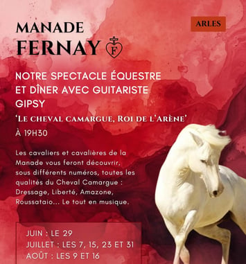 Le Cheval Camargue Roi de l'Arène