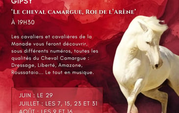 Le Cheval Camargue Roi de l'Arène