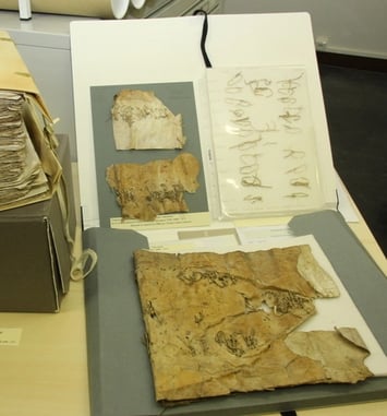 La conservation et la restauration des archives