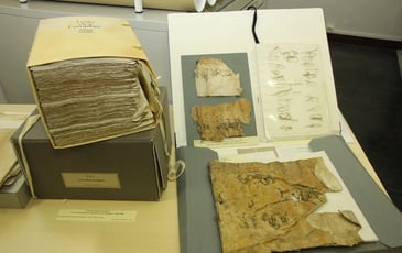 La conservation et la restauration des archives