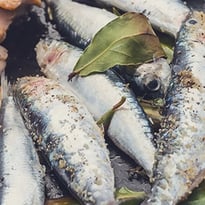 La sardinade des séniors