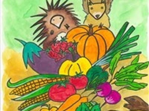 Cache-cache dans le potager